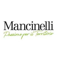 Stefano Mancinelli