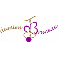 Damien Bruneau
