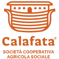 Calafata 