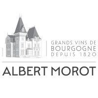 Albert Morot