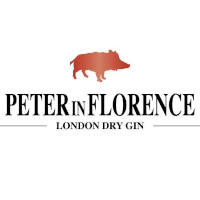 Ginlab Srl