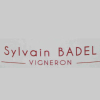 Sylvain Badel