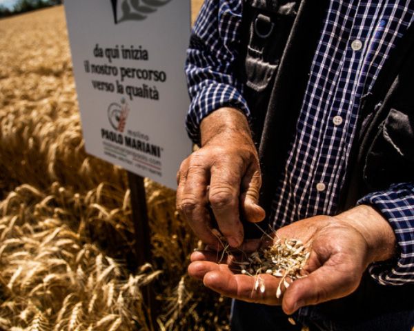 Molino Paolo Mariani