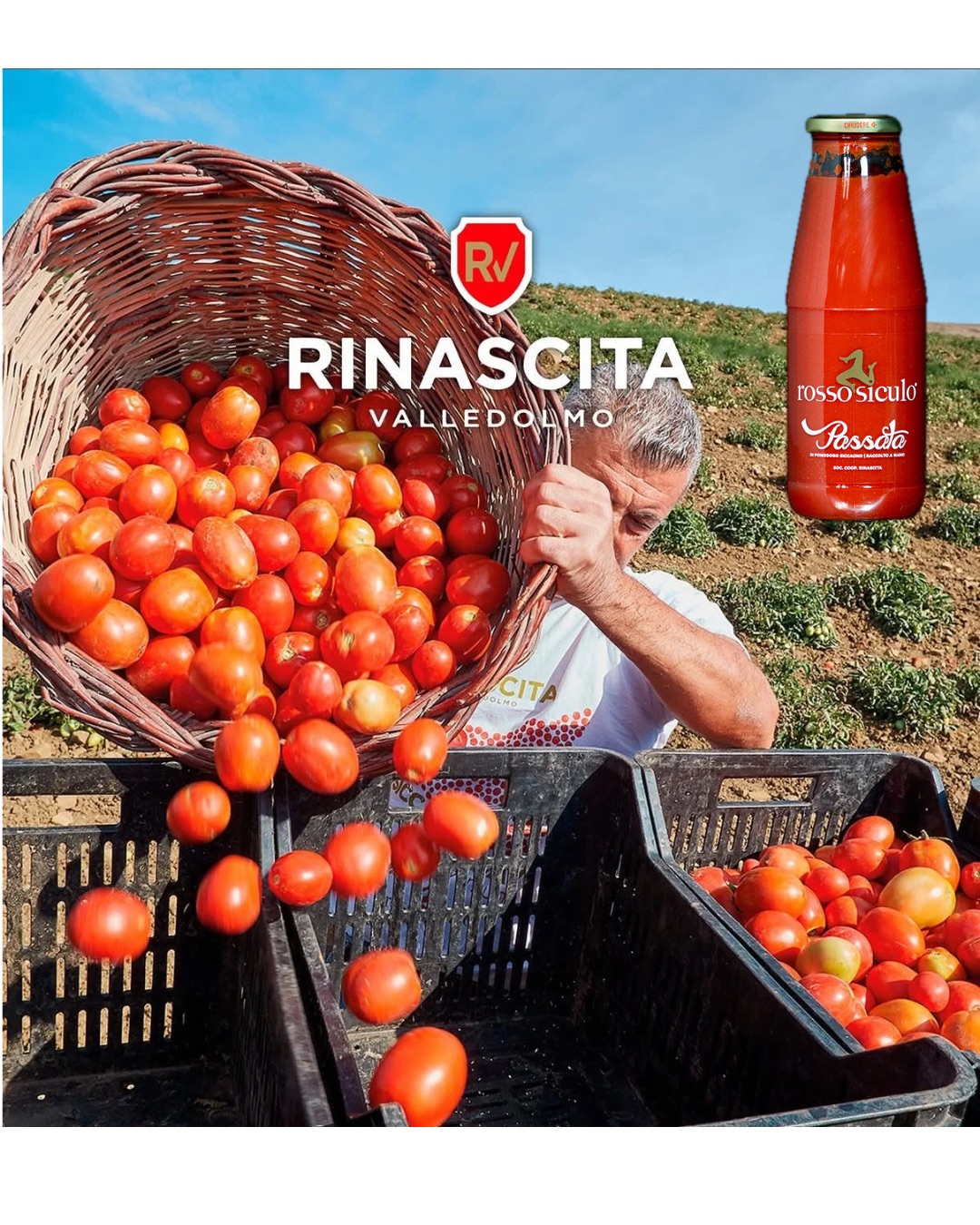La Tomate Siccagno, un trésor né de la nécessité